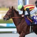 【競馬予想】３歳牝馬クラシックで頂点に立つのはこの馬だ　年明け早々に大胆予想！