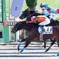 【中山４Ｒ・３歳新馬】３連単は２３万円超！６番人気ガーヴィが直線一気で大波乱演出　舟山瑠泉騎手「良く伸びてくれました」
