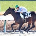 重賞がない１０日の中山競馬で不可思議な現象　第１ＲにおけるＪＲＡレコードの売り上げを２週連続で更新