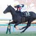 【中山１１Ｒ・迎春Ｓ】アスクナイスショー鮮やか逃げ切り　田辺裕信騎手は復帰後初勝利「縁を感じます」