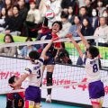 【高校バレー】東山、高橋藍擁した20年以来の決勝進出　エース岩田怜緯「自分も日本一に」