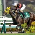 25年京成杯AHの勝ち馬ホウオウラスカーズが登録抹消 岡田スタッドで繁殖入り