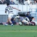 【ラグビー】４回継続中“早明戦のジンクス”とは　今季は明大勝利　１・11全国大学選手権決勝