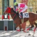 【京都２Ｒ・３歳新馬】単勝４０倍超えの伏兵ハッピーラブソングが差し切り　高杉吏麒騎手「地力で踏ん張ってくれた」