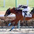 【中山５Ｒ・３歳新馬】単勝５０倍超馬の勝利も予言通り！？エスシービクトリア逃げ切りＶ　村田調教師「勝てるぞと」