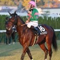 日曜京都競馬場の注目激走馬…京都１１Ｒ淀短距離ステークス（Ｌ）