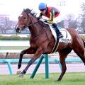 【中山８Ｒ・４歳上１勝クラス】「今年もよろしくお願いします」ルメール騎手が初勝利　１番人気クライスレリアーナでＶ