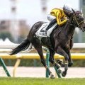 【フェアリーS・馬体重】ピエドゥラパンは462kg(±0)、ギリーズボールは424kg(-4)