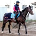２３年中山金杯勝ち馬のラーグルフが登録抹消　今後は千葉県で乗馬になる予定