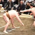 朝紅龍が勝利一転、痛恨の反則負け　場内説明で「朝青龍」の名前が出るハプニングに場内沸く　ＳＮＳ反応「電撃復帰ｗ」「わかるわぁ」