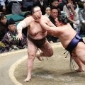 新十両の出羽ノ龍が白星発進　目標は大きく「全勝優勝」＆「九州場所までに幕内、三役を」