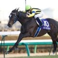 ハーツクライ産駒がJRA通算1600勝達成！ JRA史上6頭目