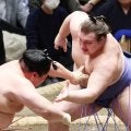 新大関安青錦が万全の相撲で業師の宇良を寄せ付けず白星発進