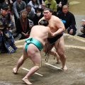 左肩不安視された横綱大の里は左のおっつけから完勝「左は使えている」と琴風氏