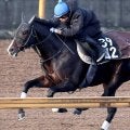 【シンザン記念】上位混戦だが、馬連でも３連単でも売れ線の意外な１番人気とは？　前売り最終オッズ発表
