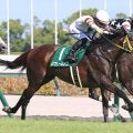 キングヘイローの最後の現役産駒リフレーミングが競走馬登録を抹消　今後は種牡馬もけい養先は未定