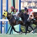 ラーグルフが登録抹消、乗馬へ