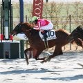 【京都４Ｒ・３歳新馬】米国産馬アメリカンスタイルが競り勝つ　ルメール騎手「ブリンカーも良かったです」