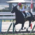 【京都5R新馬戦結果】シルバーステート産駒ニシノサリーナが5馬身差で圧勝