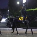 月曜中山競馬場の注目激走馬…中山１１Ｒニューイヤーステークス（Ｌ）