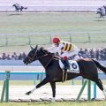 衝撃的な勝ちっぷりに「脚が他と違いすぎ」「ウイニングポストで見る挙動」新馬圧勝のニシノサリーナにネット仰天