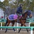 月曜京都競馬場の注目激走馬…京都１１Ｒシンザン記念・Ｇ３
