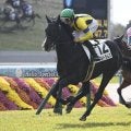 【シンザン記念・馬体重】アルトラムスは474kg(-6)、モノポリオは482kg(-10)