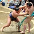 豊昇龍が２連勝　一山本に勝つ　横綱初Ｖを狙う