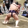 物言いの末、安青錦が勝った　粂川審判長の見解は「先に義ノ富士の体がなくなった」