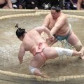 大関琴桜が２連勝「いつも通りいっただけ。明日は明日」新大関の安青錦に対抗心