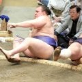 義ノ富士、安青錦に初黒星　物言いつく際どい内容も「悔しいけど仕方がない」