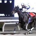【高知・ベラトリックス特別】シンリンゲンカイがクビ差逃げ切りで3連勝、初の準重賞制覇