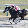 【雅S】モックモックが完勝…ルメール騎手はこの日の3勝目