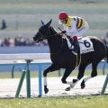 【新馬/京都5R】セイウンハーデス全妹、ニシノサリーナが5馬身差楽勝