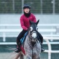【日経新春杯・水納の特注馬】ミュージアムマイルの２着が２回　強い４歳世代ヤマニンブークリエの一発に期待
