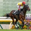 【京成杯見どころ】機動力が持ち味のアッカンが3連勝で重賞初制覇だ