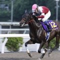 高知けいば、2025年優秀馬を発表…代表馬・最優秀3歳馬にジュゲムーン