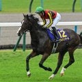 【日経新春杯想定騎手】ゲルチュタールは坂井瑠星騎手、ヤマニンブークリエは横山典弘騎手