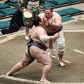 十両経験者の生田目が再起場所で連勝発進　師匠の思い知り「硬さが取れた」　冷静さも身につけ成長