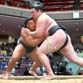 幕下付け出しの和歌ノ富士、デビューから連勝　対戦相手をＹｏｕＴｕｂｅで研究「どう攻めていこうかを考えている」