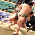 幕下・炎鵬が連勝発進　「少しずつ昔の気持ちが戻ってきた。自分の人生、悔いのないように生きていきたい」