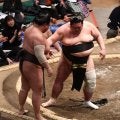 大相撲　新婚の剣翔に思わぬハプニング　英乃海の粘りでまわしが…寄り切って３日目で待望の記念星　９日に現役客室乗務員と婚約発表