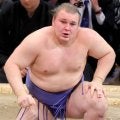 新大関・安青錦が３連勝　一山本に勝利して０６年夏場所以来の新大関優勝に好発進