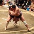 横綱・豊昇龍が初黒星　新鋭の義ノ富士に金星配給