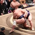 結びで波乱、座布団が舞う　平幕義ノ富士に横綱豊昇龍が金星配給　横綱大の里、大関琴桜、安青錦は３戦全勝