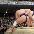 横綱豊昇龍が痛恨の初黒星…付け人に「×」マークで取材応じず、険しい表情
