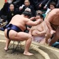 新入幕３連勝の東前頭17枚目の朝白龍「勝っているので伸ばしている」自らのひげに願掛け