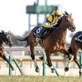 【日経新春杯展望】データ3冠でシャイニングソードが重賞初制覇へ