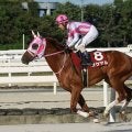 【園田・姫路競馬】兵庫の年度代表馬はオケマル