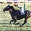 【注目馬動向】ジャンタルマンタルはドバイ・ターフを目指す　マイル以外の距離なら皐月賞３着以来、約２年ぶり４度目
